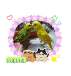 みんなのスタンプ8（個別スタンプ：14）