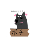 わんちゃんのおしゃべりスタンプ（個別スタンプ：4）
