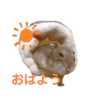 はちこだよ！（個別スタンプ：1）