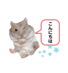 はちこだよ！（個別スタンプ：2）