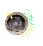 はちこだよ！（個別スタンプ：10）