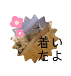 はちこだよ！（個別スタンプ：11）