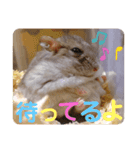 はちこだよ！（個別スタンプ：12）
