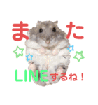 はちこだよ！（個別スタンプ：15）