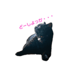 mo'scat'sfam（個別スタンプ：7）