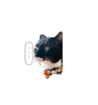 mo'scat'sfam（個別スタンプ：12）