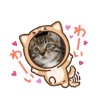 猫のティラミス（個別スタンプ：3）