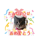 愛月と空パート6（個別スタンプ：1）