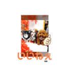 愛月と空パート6（個別スタンプ：6）