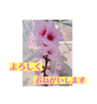 愛月と空パート6（個別スタンプ：7）