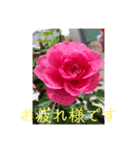 愛月と空パート6（個別スタンプ：8）