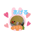 インコのぴぃちゃんのインコ（個別スタンプ：15）