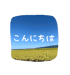【田舎の風景】日常会話ことば（個別スタンプ：2）