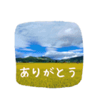 【田舎の風景】日常会話ことば（個別スタンプ：7）