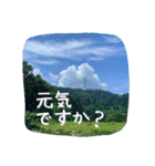 【田舎の風景】日常会話ことば（個別スタンプ：14）