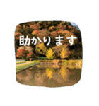 【田舎の風景】日常会話ことば（個別スタンプ：20）