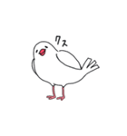 めんどくさがり文鳥（個別スタンプ：15）