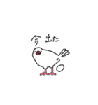 めんどくさがり文鳥（個別スタンプ：18）