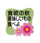 大きめ文字❤お花メッセージ 秋桜（個別スタンプ：1）