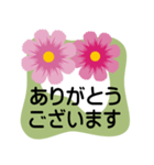 大きめ文字❤お花メッセージ 秋桜（個別スタンプ：6）