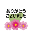大きめ文字❤お花メッセージ 秋桜（個別スタンプ：7）