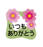 大きめ文字❤お花メッセージ 秋桜（個別スタンプ：8）