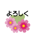 大きめ文字❤お花メッセージ 秋桜（個別スタンプ：12）