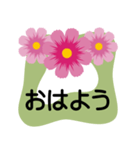 大きめ文字❤お花メッセージ 秋桜（個別スタンプ：13）