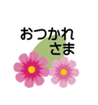 大きめ文字❤お花メッセージ 秋桜（個別スタンプ：16）