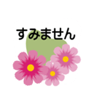 大きめ文字❤お花メッセージ 秋桜（個別スタンプ：18）