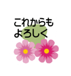 大きめ文字❤お花メッセージ 秋桜（個別スタンプ：21）