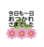 大きめ文字❤お花メッセージ 秋桜（個別スタンプ：24）