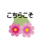 大きめ文字❤お花メッセージ 秋桜（個別スタンプ：27）