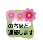 大きめ文字❤お花メッセージ 秋桜（個別スタンプ：31）