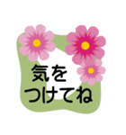 大きめ文字❤お花メッセージ 秋桜（個別スタンプ：32）