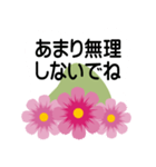 大きめ文字❤お花メッセージ 秋桜（個別スタンプ：33）