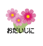大きめ文字❤お花メッセージ 秋桜（個別スタンプ：38）