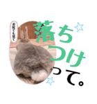 #こんちゃんしか勝たん（個別スタンプ：16）