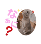 #こんちゃんしか勝たん（個別スタンプ：18）