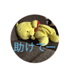 今ドキッズTVスタンプ三（個別スタンプ：4）