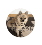 今ドキッズTVスタンプ三（個別スタンプ：12）