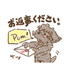 トイプードル「pum」のオリジナルスタンプ（個別スタンプ：8）