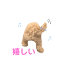 しずくだよ☆（個別スタンプ：3）