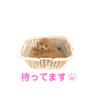 しずくだよ☆（個別スタンプ：5）