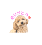 しずくだよ☆（個別スタンプ：6）