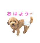 しずくだよ☆（個別スタンプ：7）