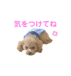 しずくだよ☆（個別スタンプ：8）