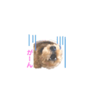 しずくだよ☆（個別スタンプ：10）