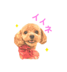 しずくだよ☆（個別スタンプ：12）