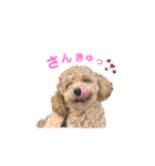 しずくだよ☆（個別スタンプ：16）